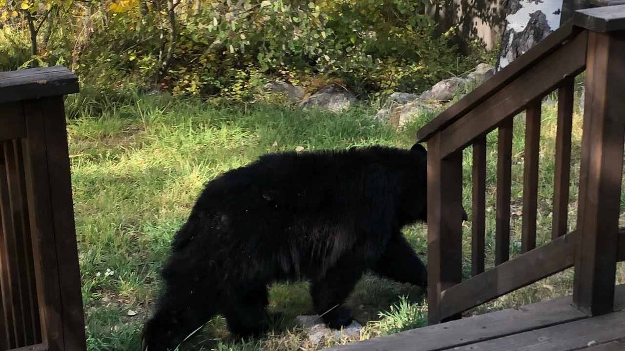 Photo of Outdoor in Red Lodge