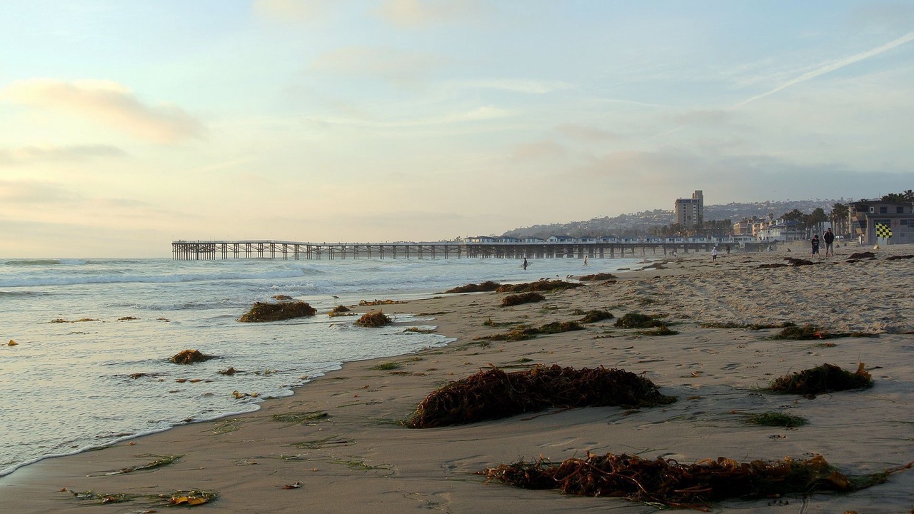 Photo of Others in North Pacific Beach