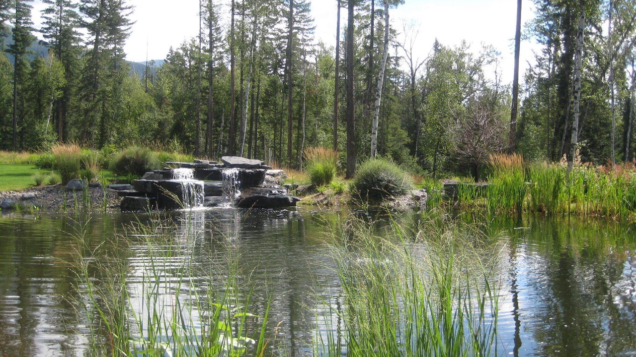 Photo of Others in Bigfork