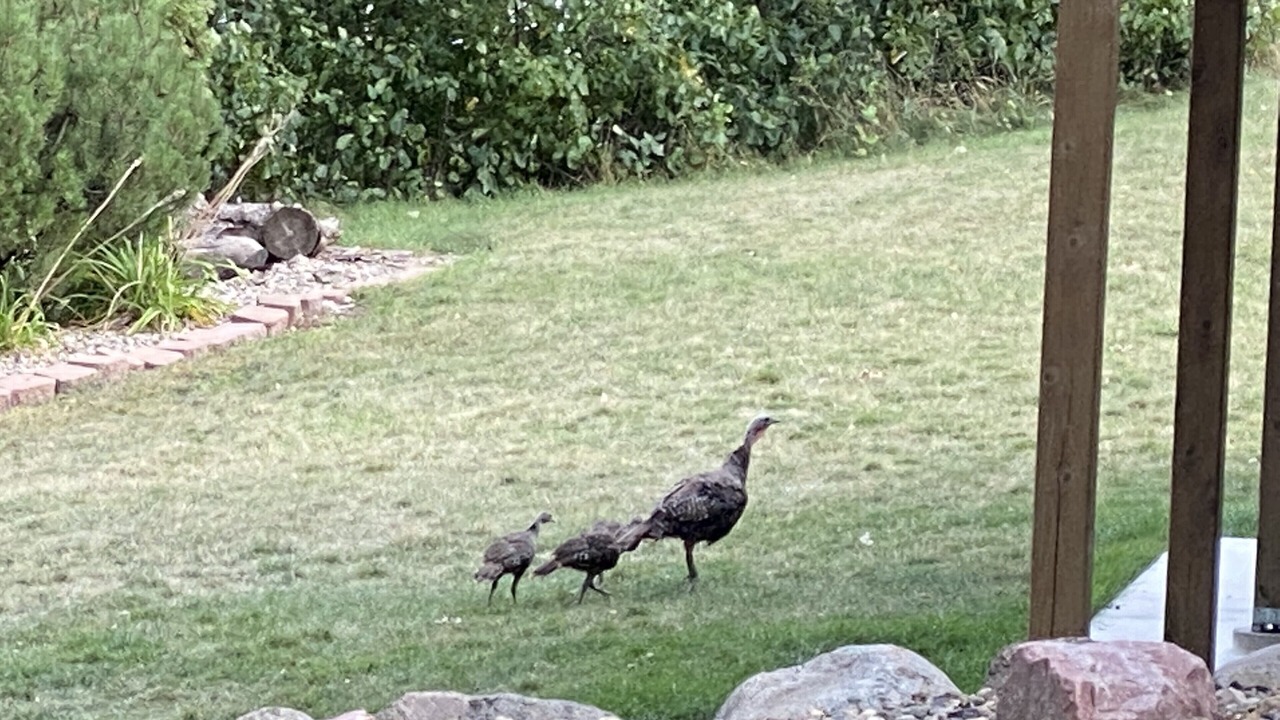 Photo of Outdoor in Lake City
