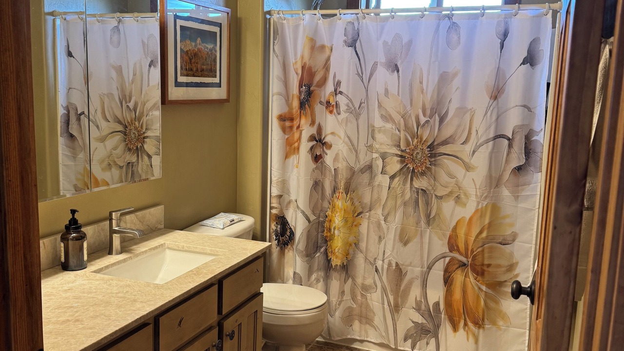 Photo of Bathroom in Tetonia