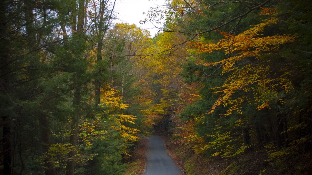 Photo of Outdoor in Benezette