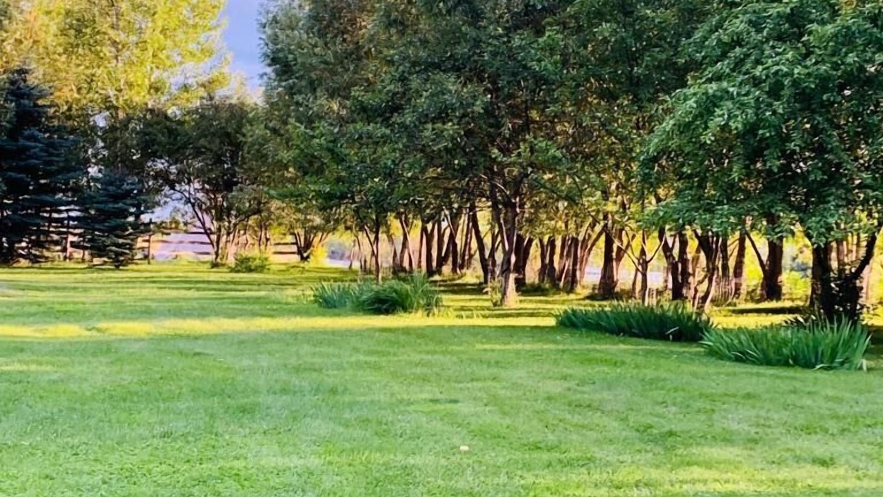 Photo of Outdoor in Livingston