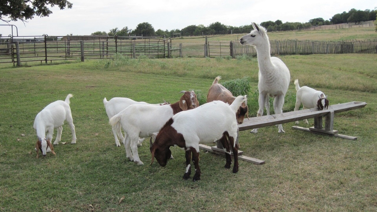 Photo of Outdoor in Elmore City