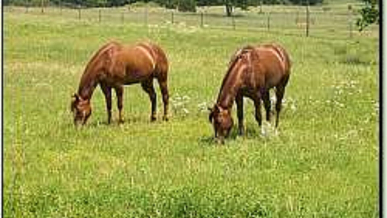Photo of Outdoor in Elmore City