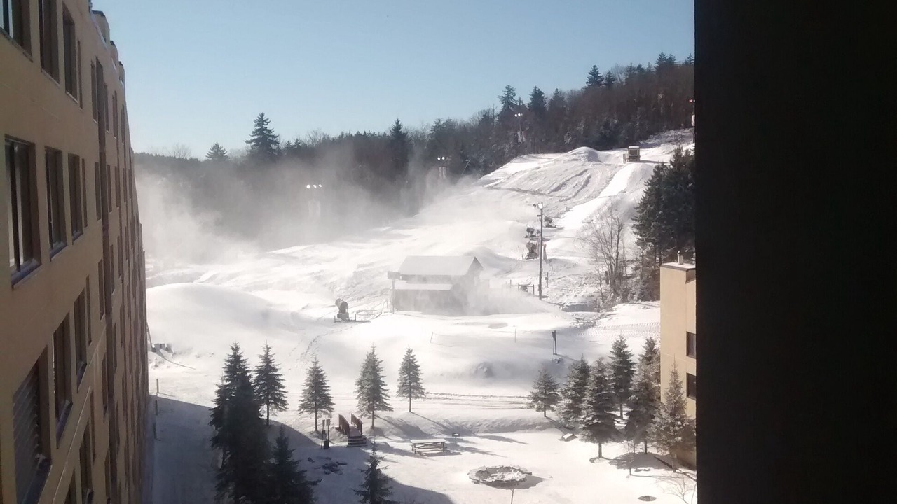 Photo of Others in Snowshoe
