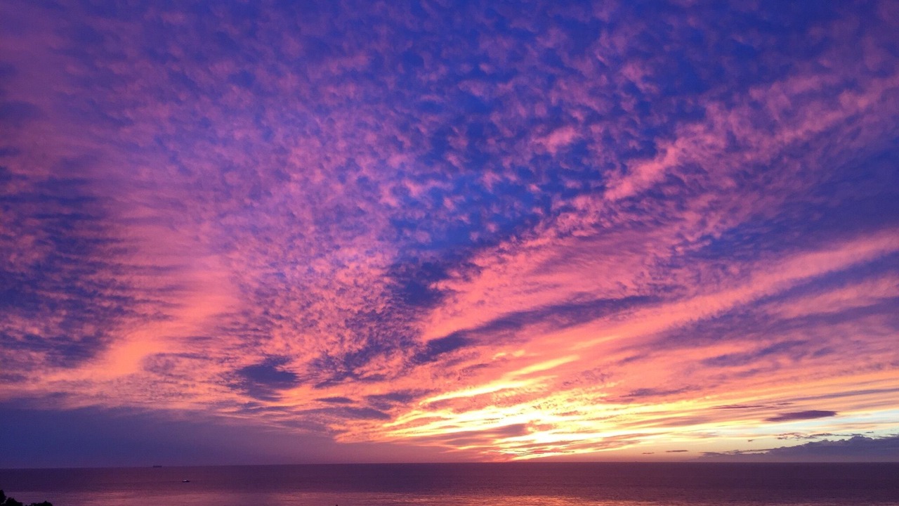 Photo of Others in Sunset Cliffs