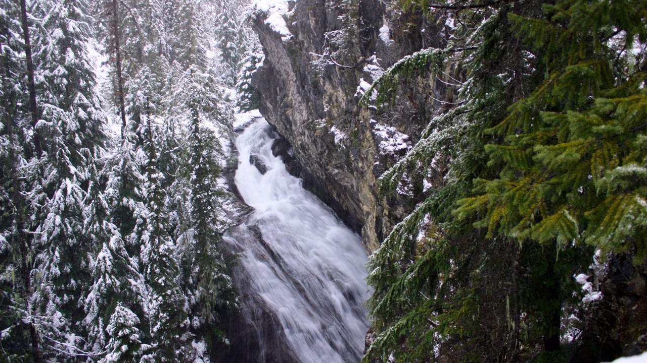 Photo of Others in Priest River