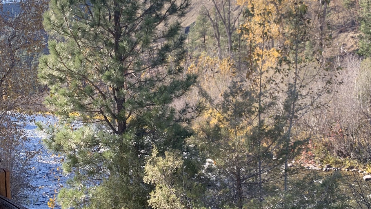 Photo of Others in Granite County