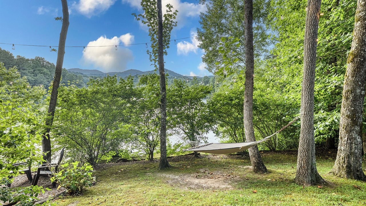 Photo of Outdoor in Ellijay