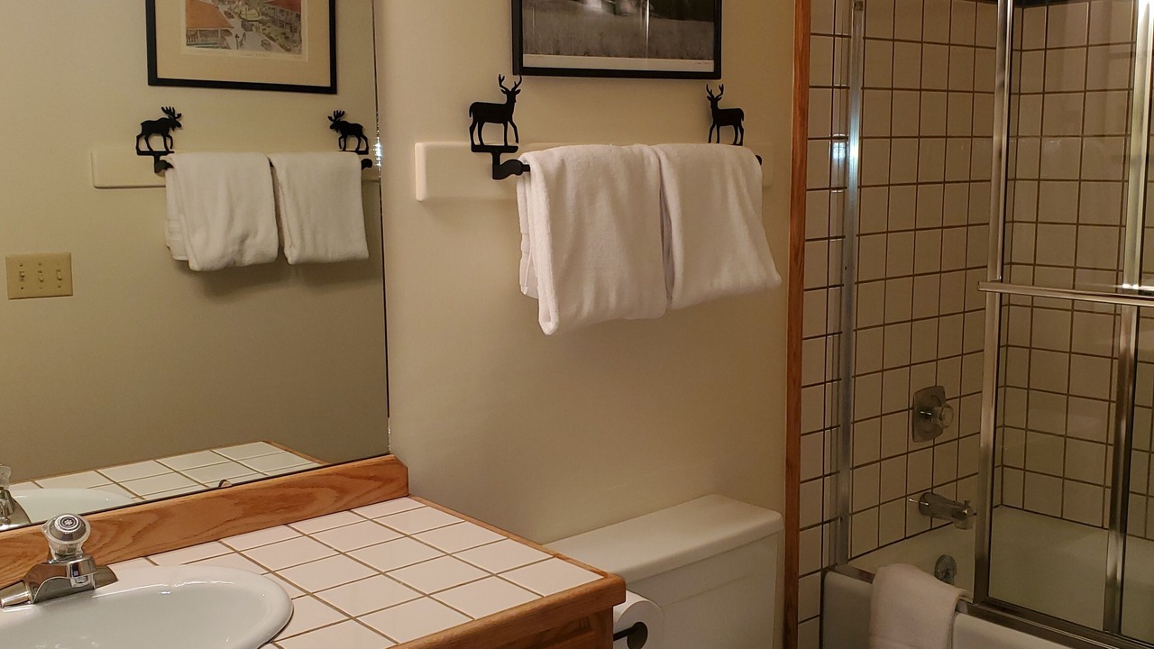 Photo of Bathroom in Warm Springs