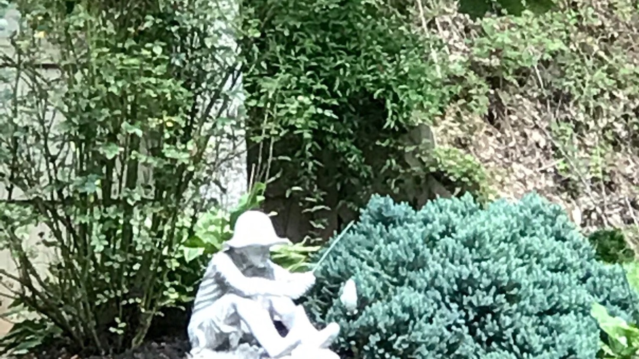 Photo of Outdoor in Gatlinburg - Pigeon Forge
