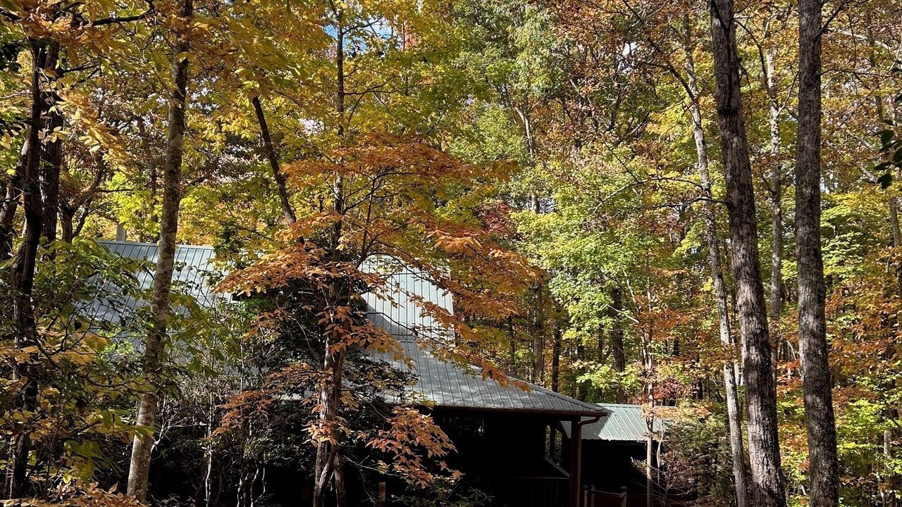 Photo of Others in Blairsville