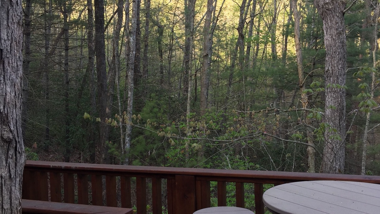 Photo of Others in Blairsville
