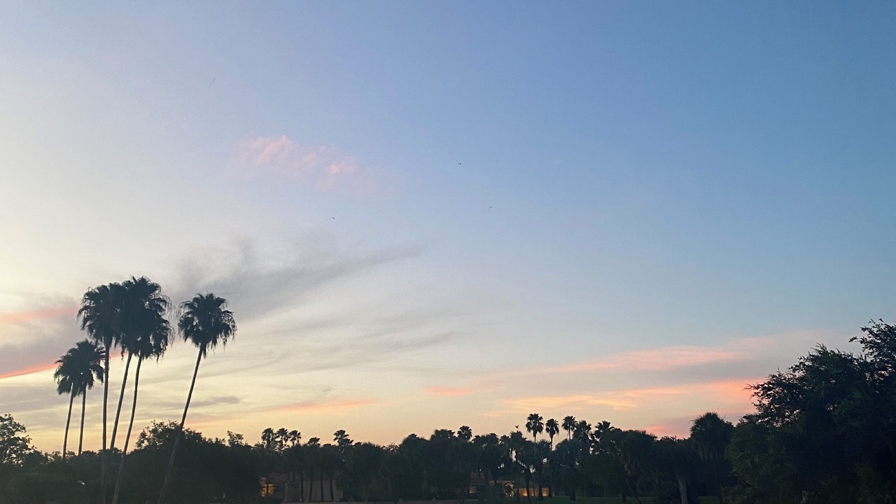 Photo of Outdoor in Harlingen
