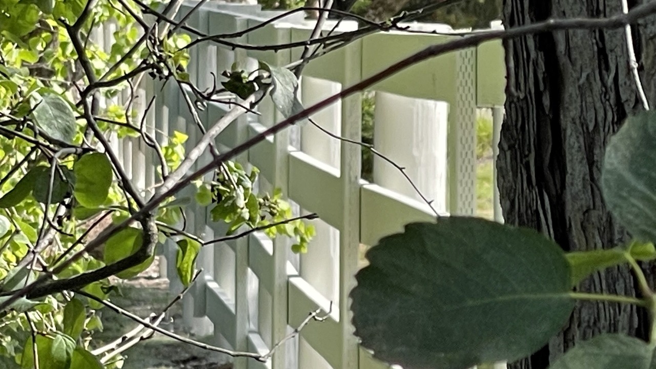 Photo of Others in Bigfork