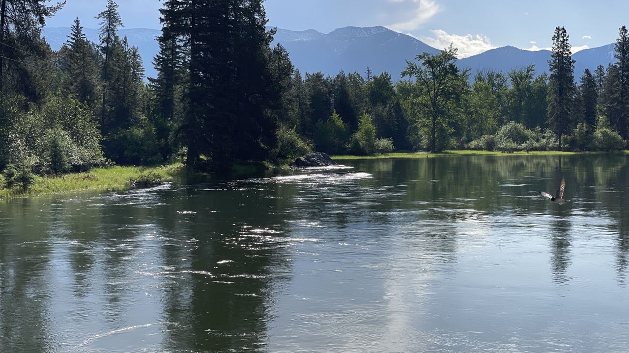 Photo of Others in Bigfork