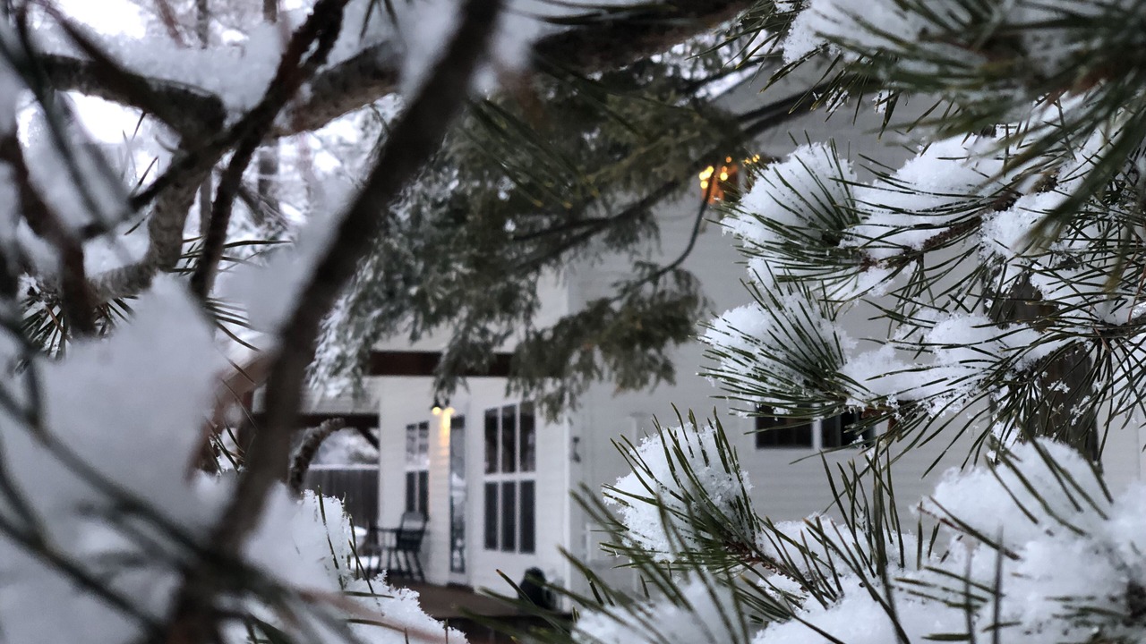 Photo of Outdoor in Bigfork