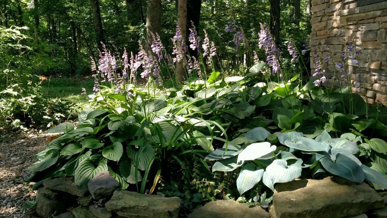 Photo of Outdoor in Gettysburg