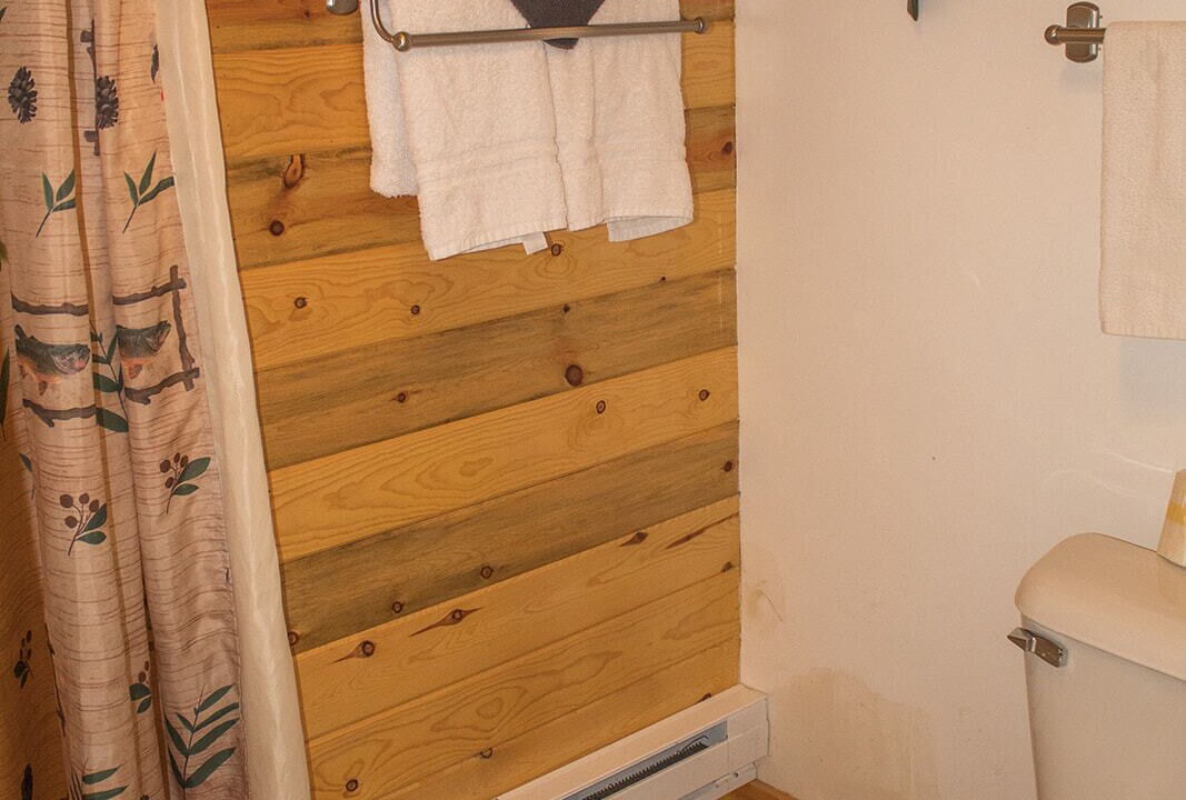 Photo of Bathroom in Island Park