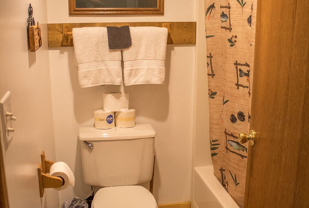Photo of Bathroom in Island Park