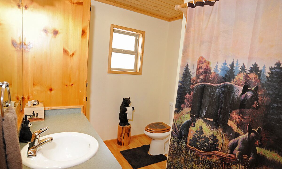 Photo of Bathroom in Island Park