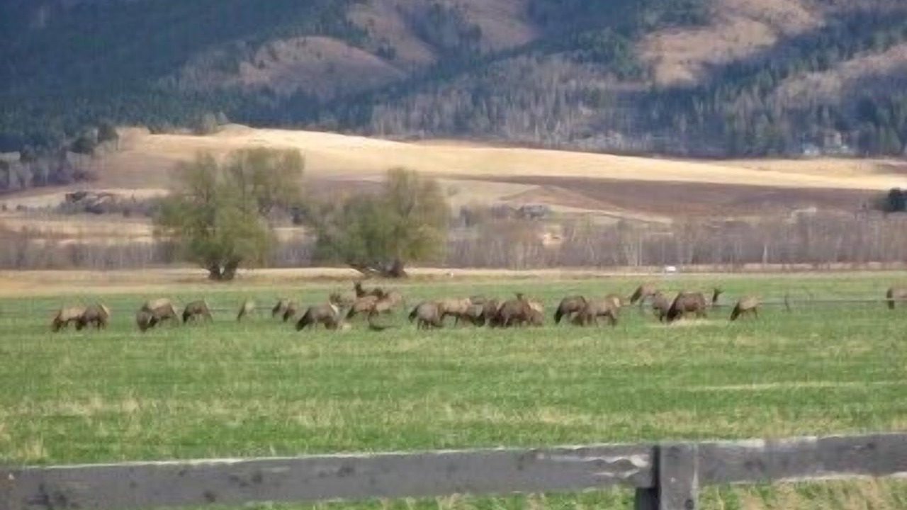 Photo of Others in Downtown Bozeman