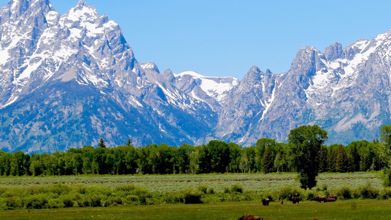 Photo of Outdoor in Jackson
