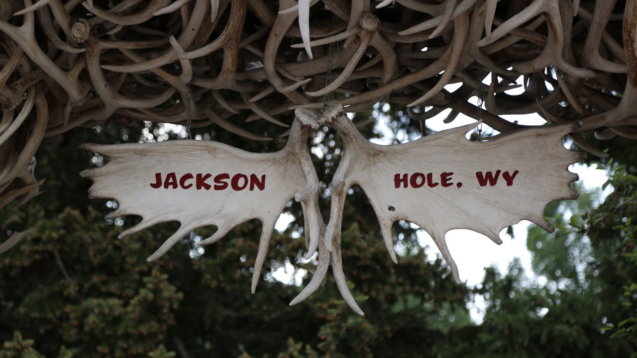 Photo of Outdoor in Jackson