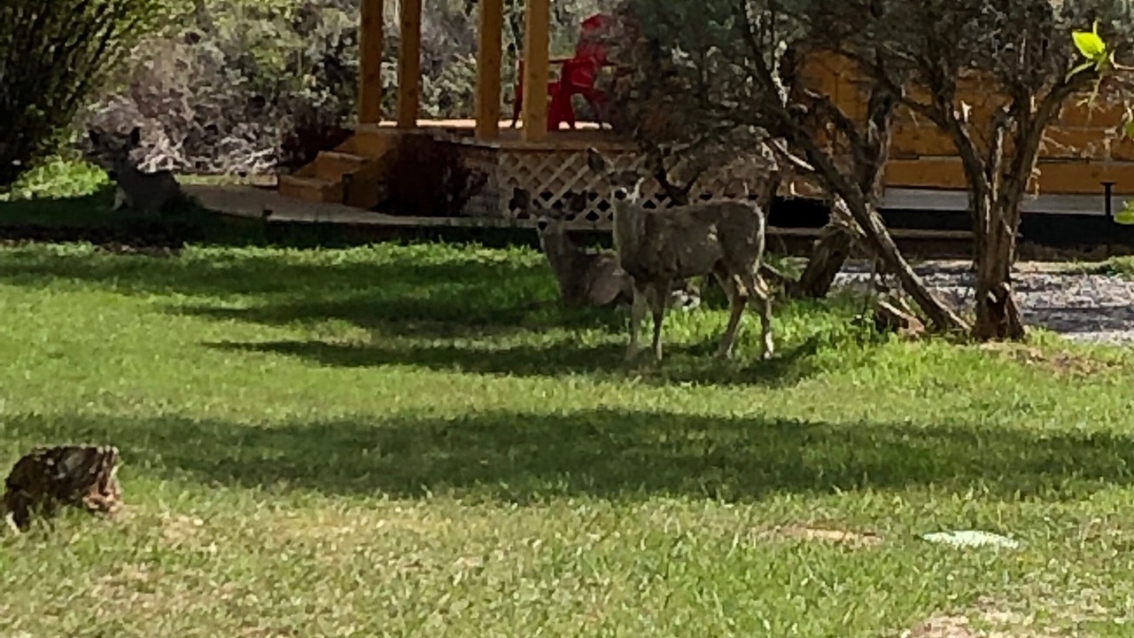 Photo of Others in Dubois