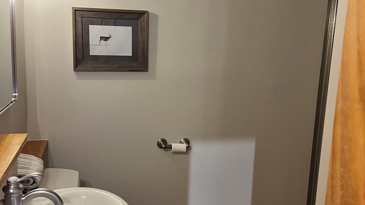 Photo of Bathroom in South Park