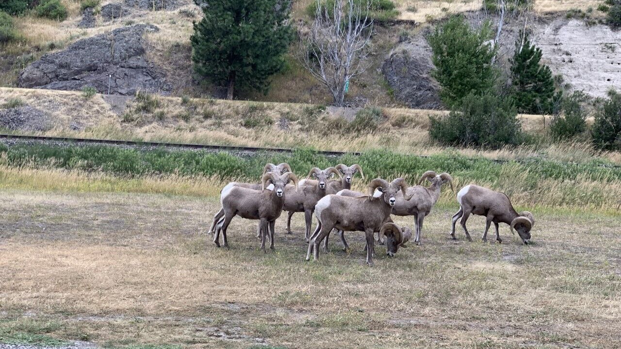 Photo of Others in Cascade