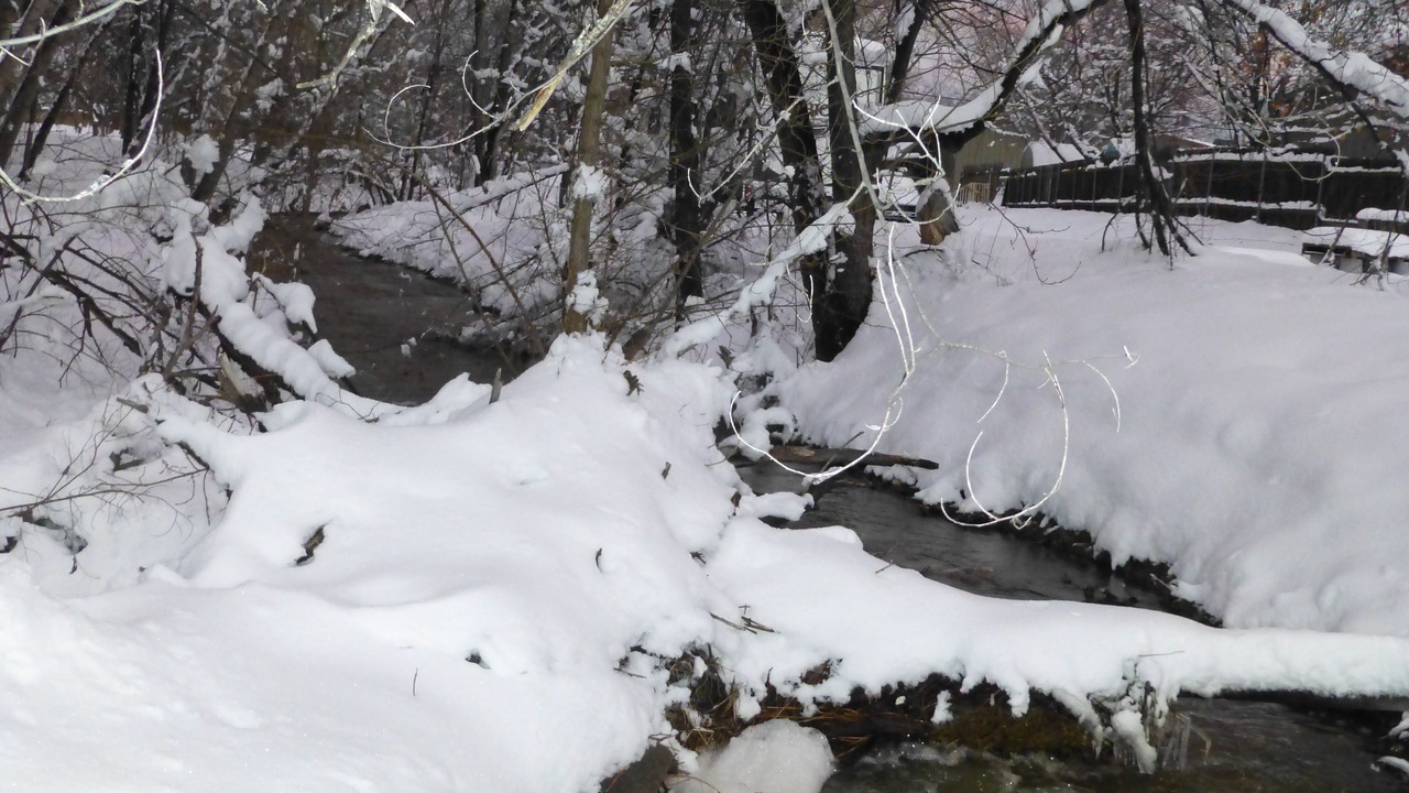 Photo of Others in Prescott