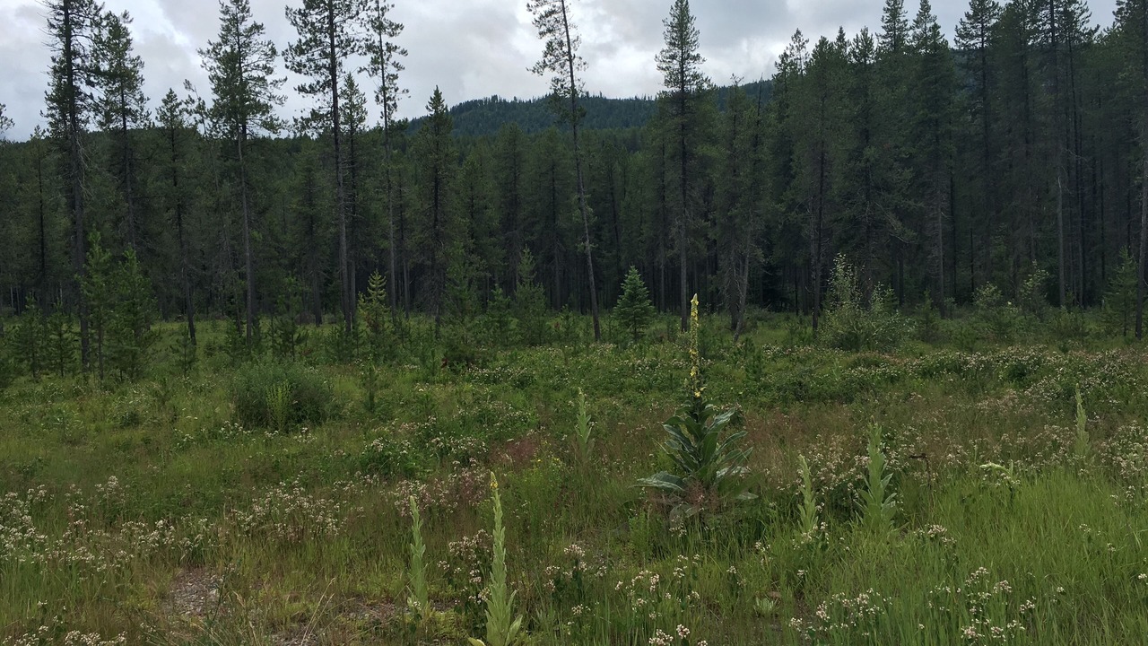 Photo of Outdoor in Columbia Falls