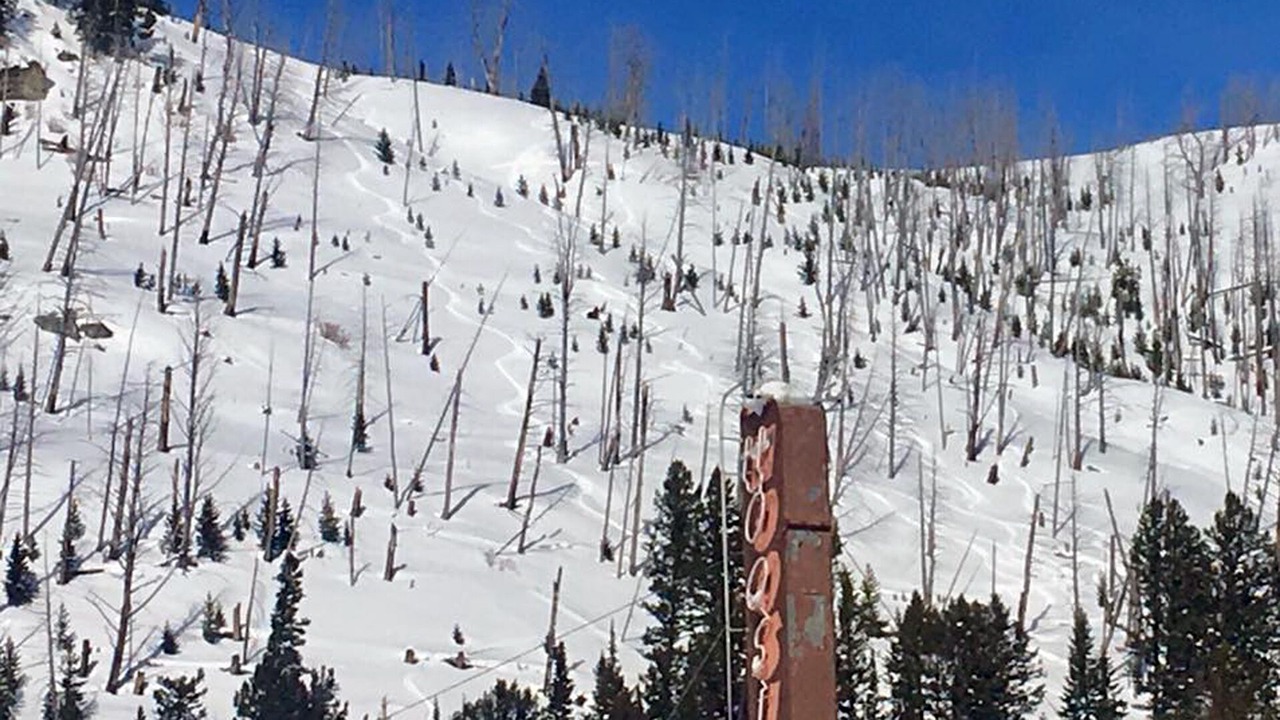 Photo of Others in Cooke City-Silver Gate