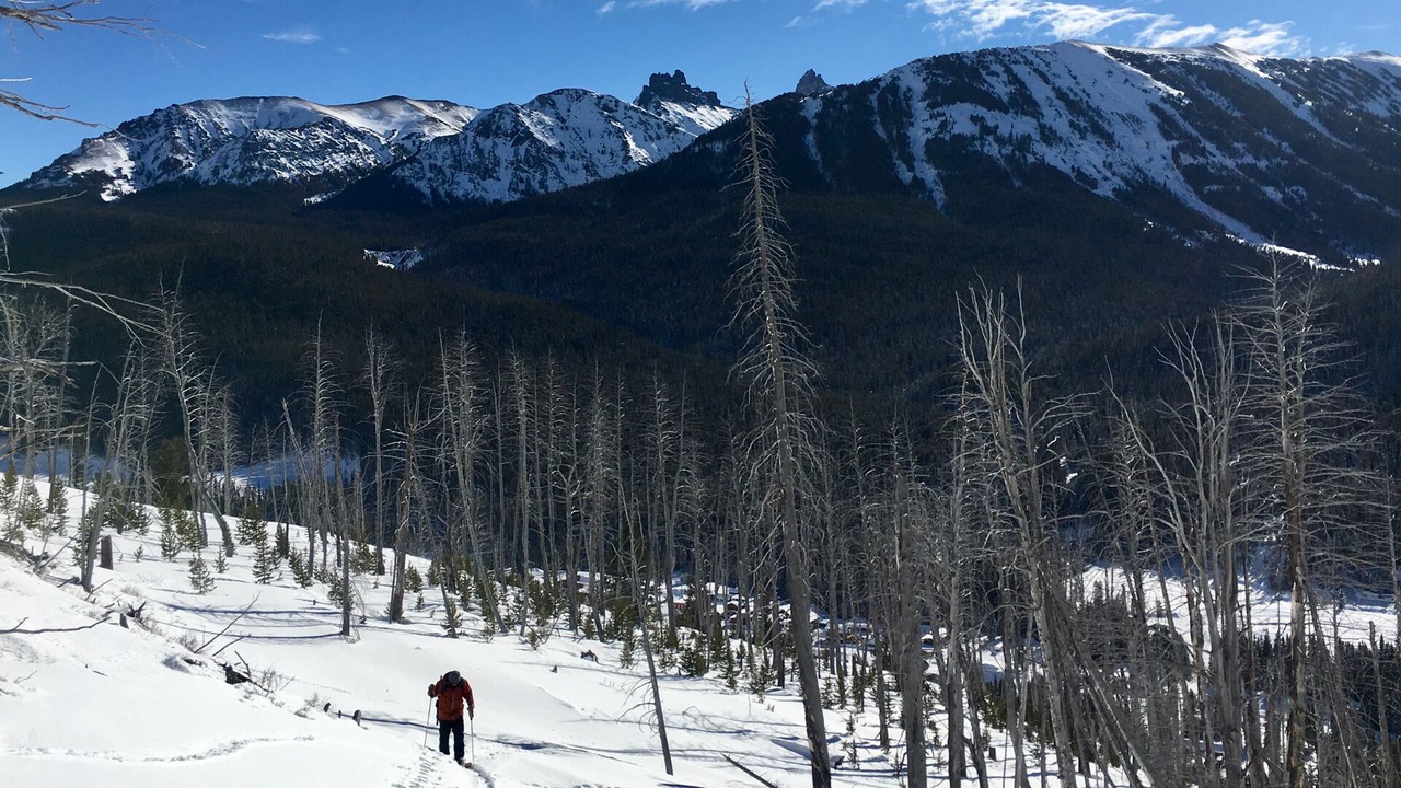 Photo of Others in Cooke City-Silver Gate