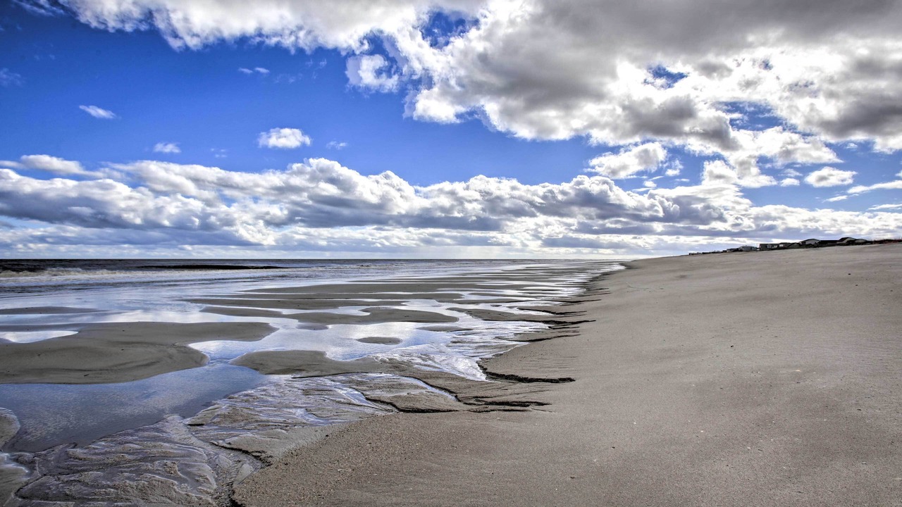 Photo of Others in Fernandina Beach