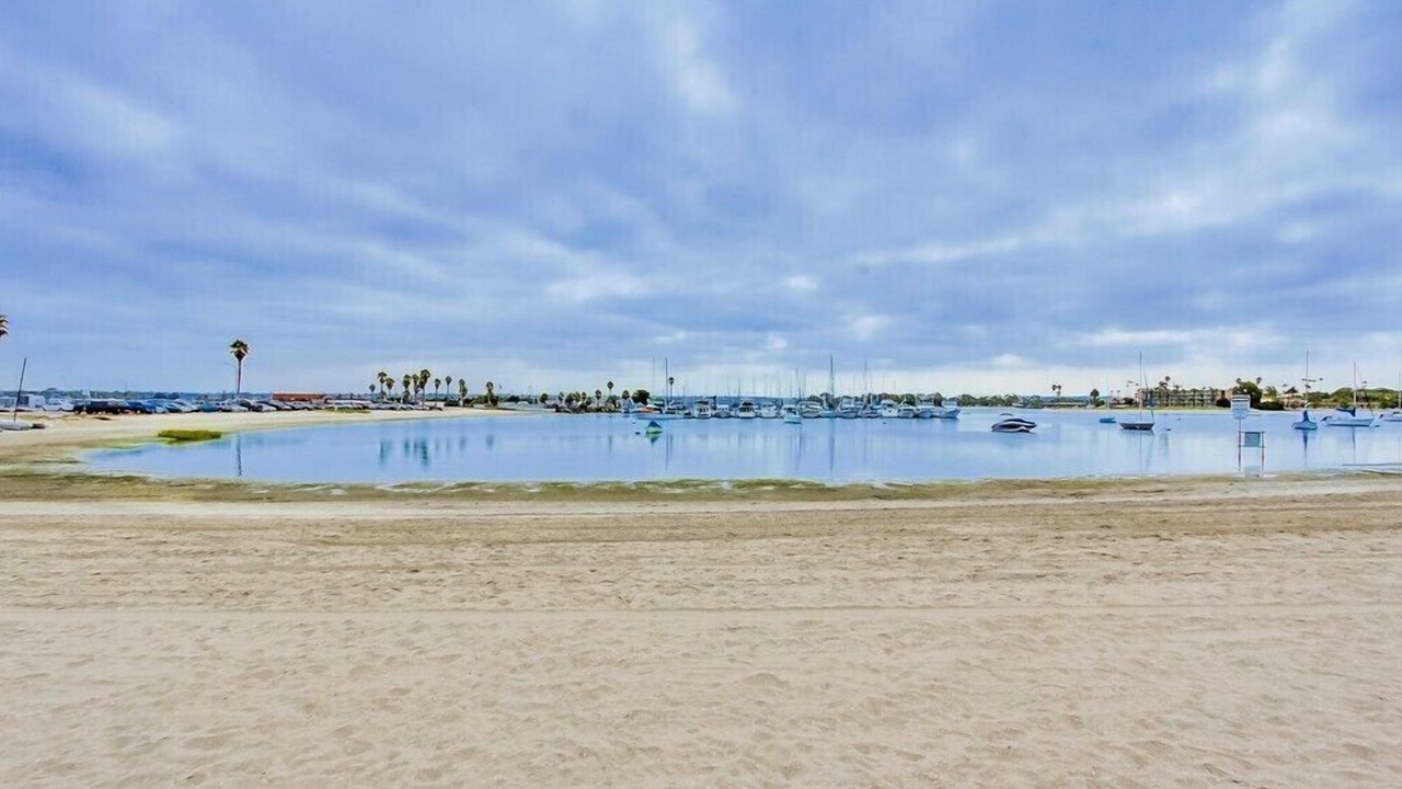 Photo of Others in Central Mission Beach