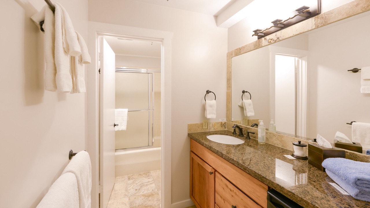 Photo of Bathroom in North Park City