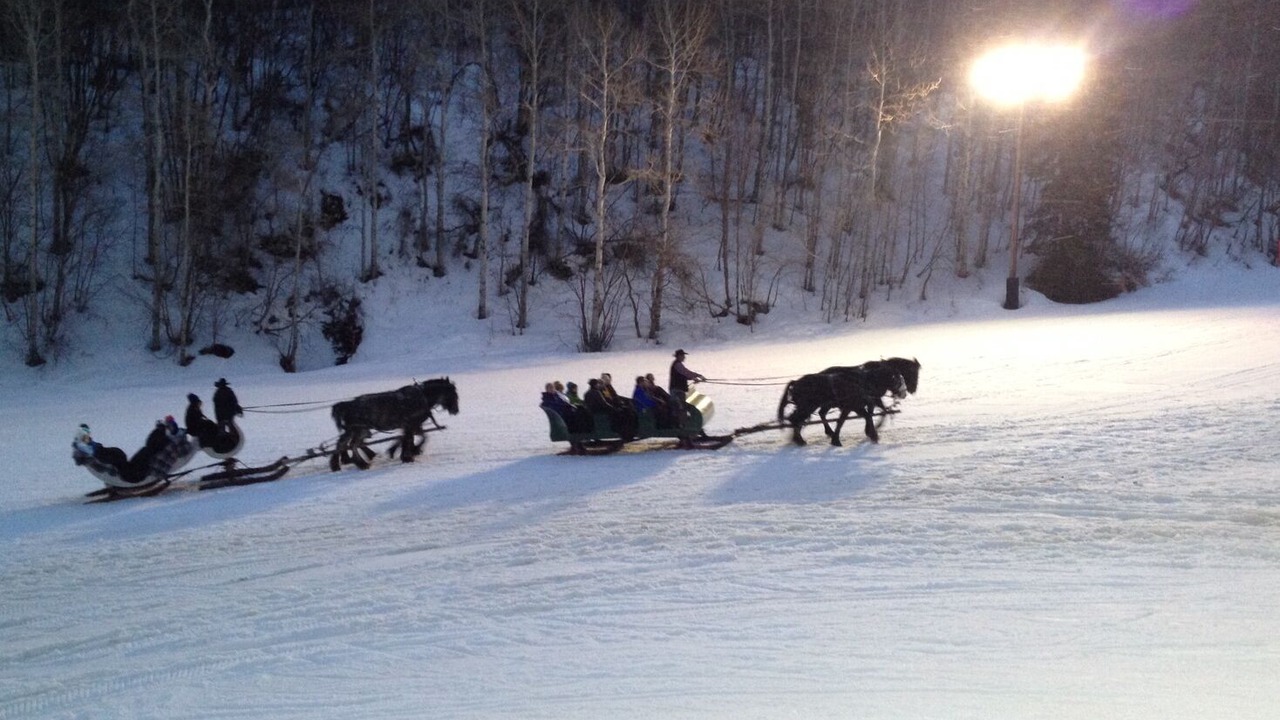Photo of Others in North Park City