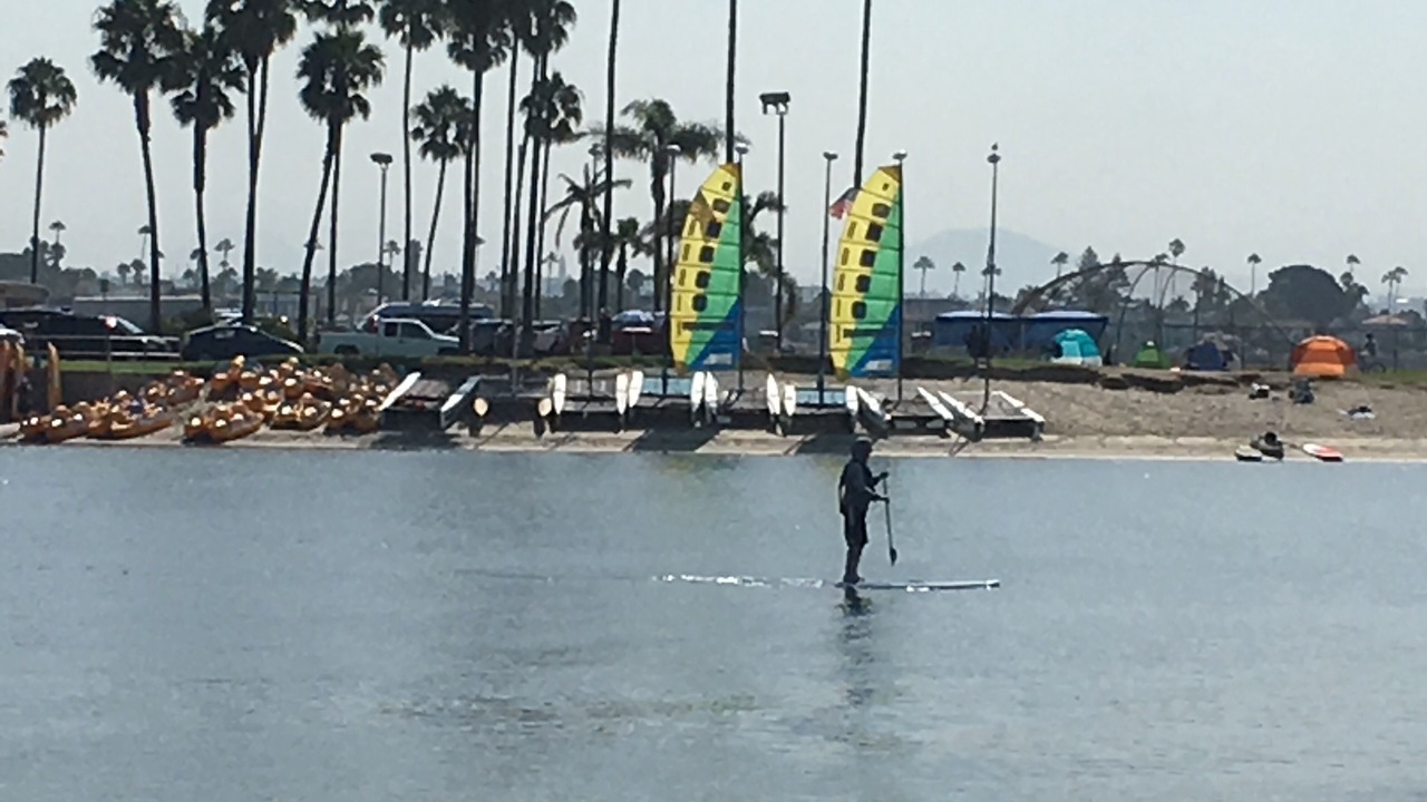 Photo of Others in Mission Beach
