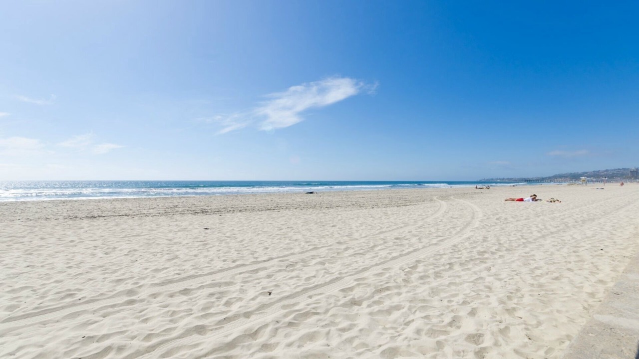 Photo of Others in Mission Beach
