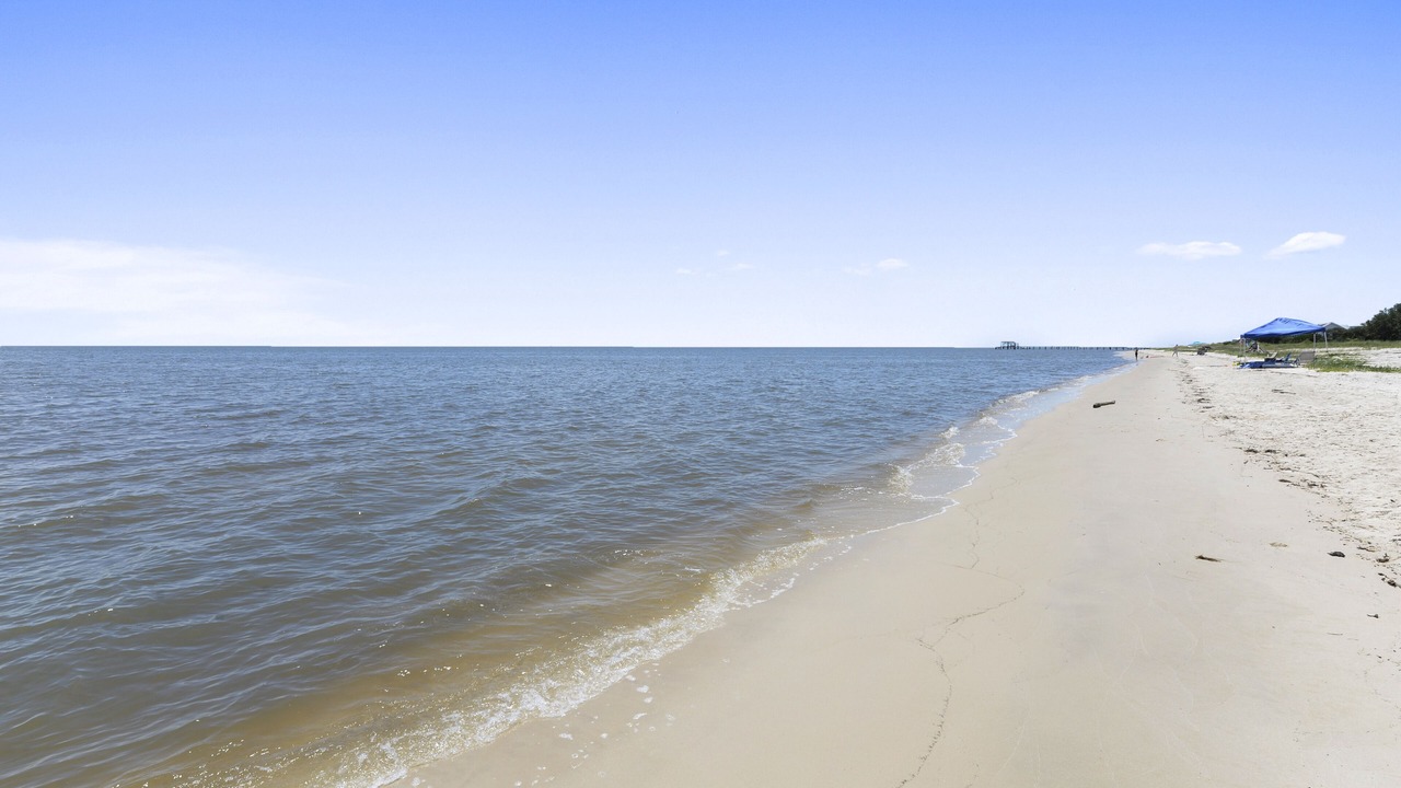 Photo of Others in Ocean Springs