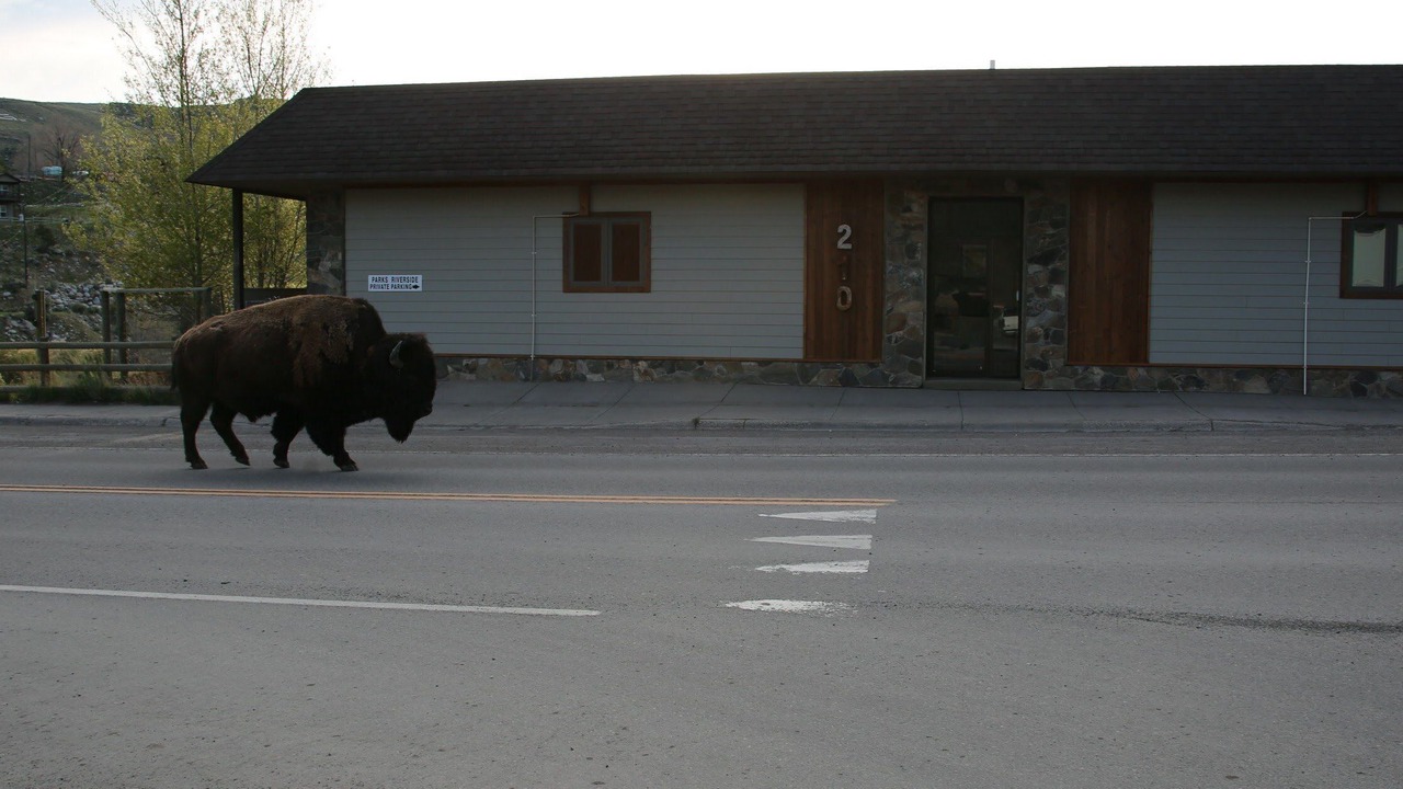 Photo of Others in Gardiner