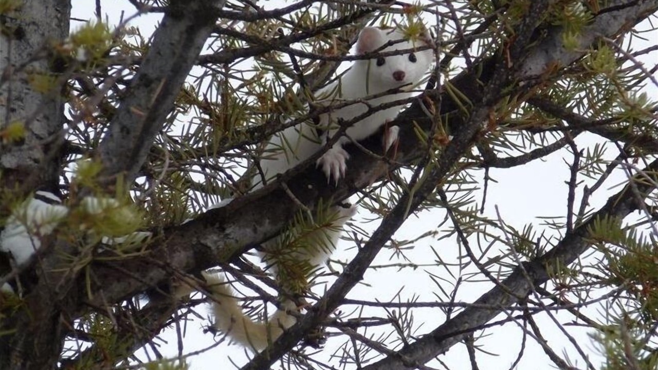 Photo of Others in Jardine