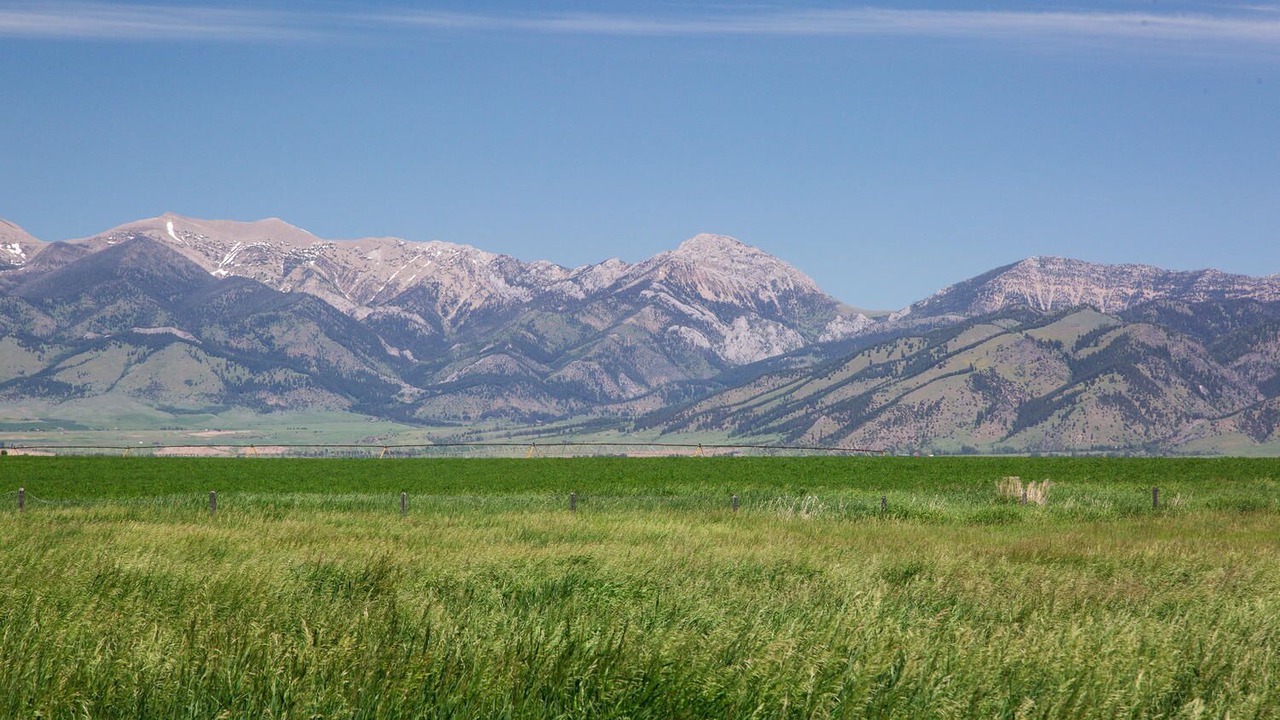 Photo of Others in Bozeman