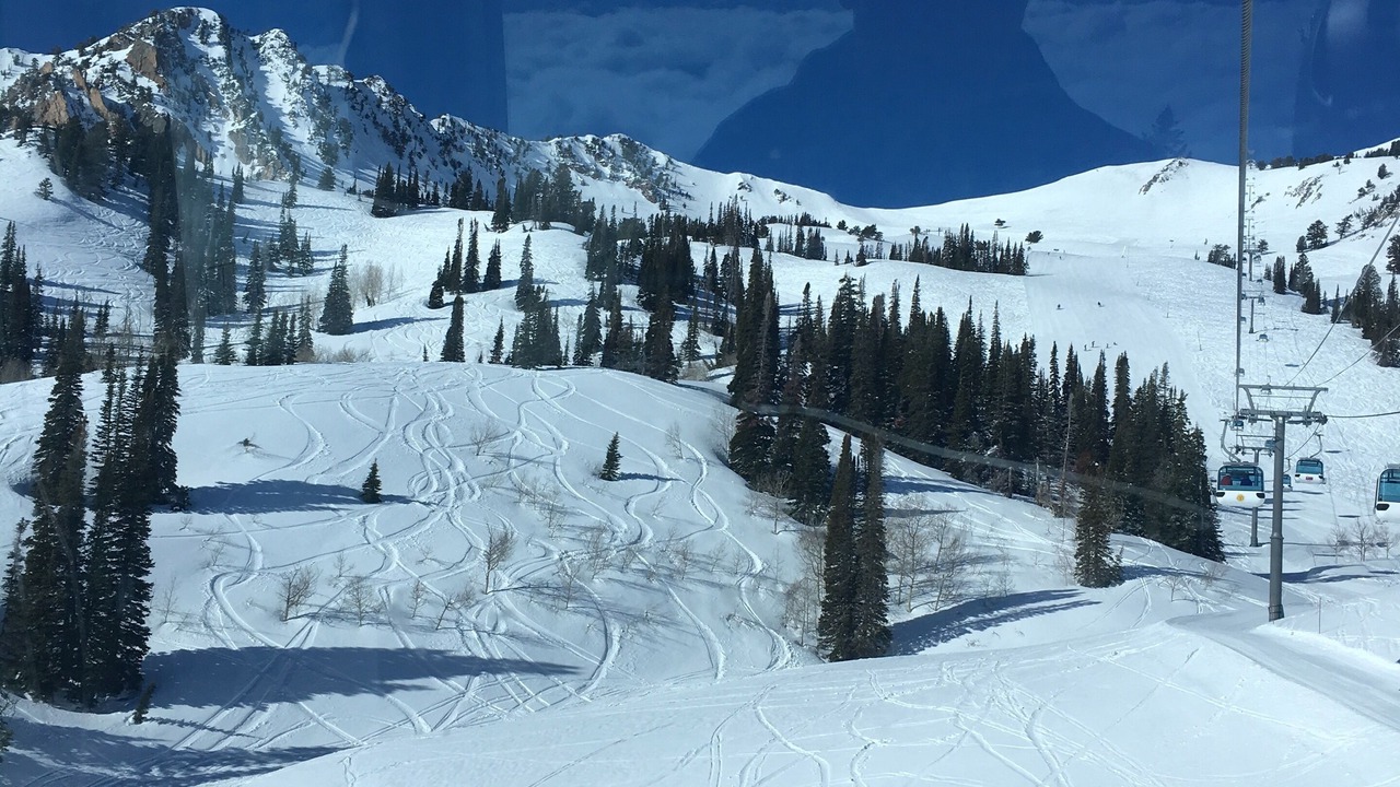 Photo of Others in Ogden
