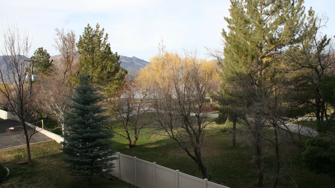 Photo of Others in Ogden