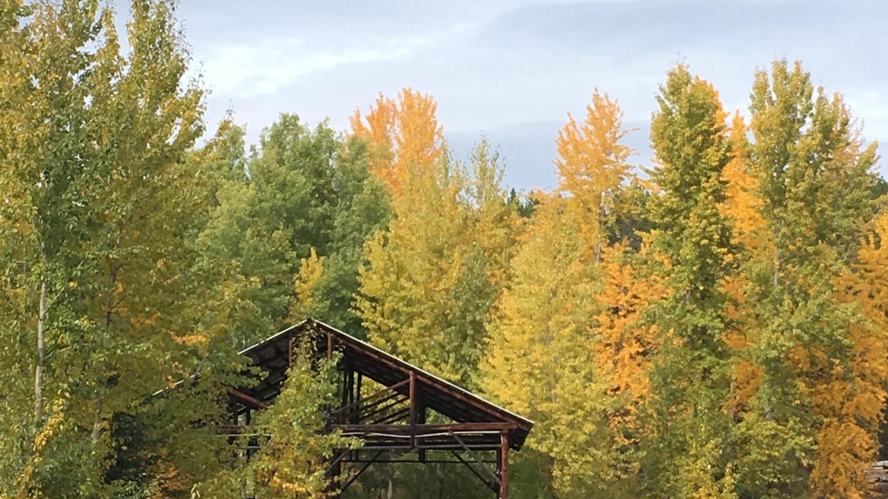 Photo of Outdoor in Coram