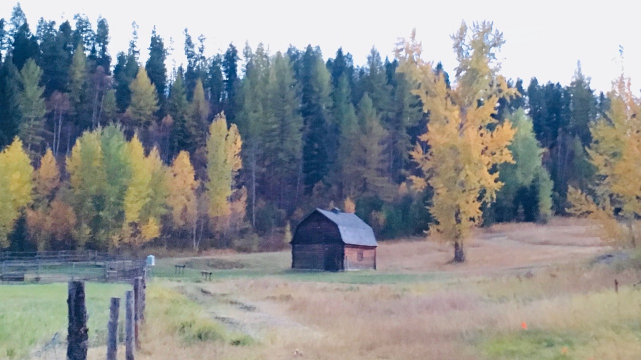 Photo of Outdoor in Coram